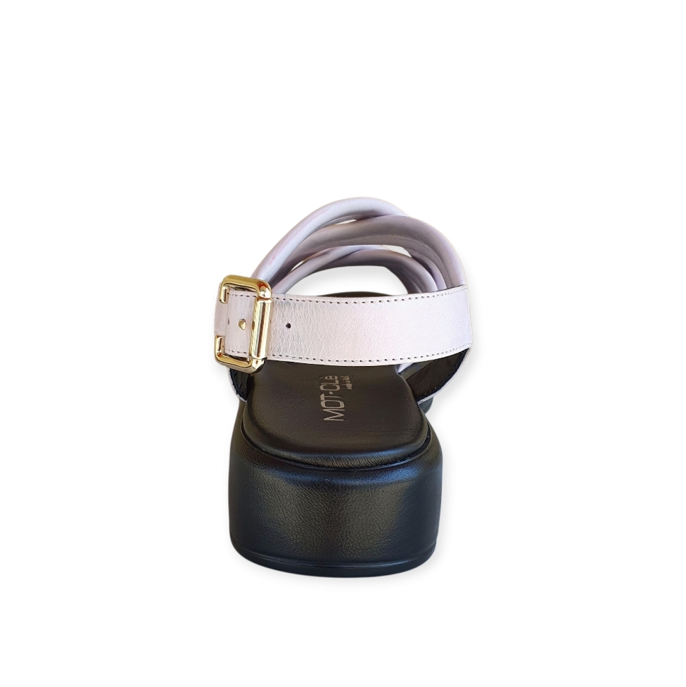 2031 Savana provenza